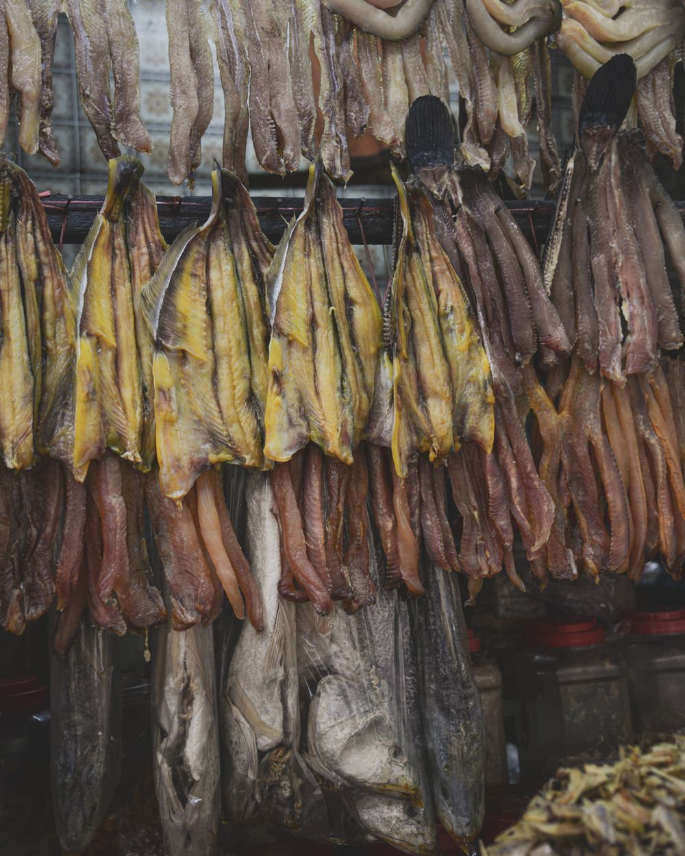 Dried Fish Selection view 1