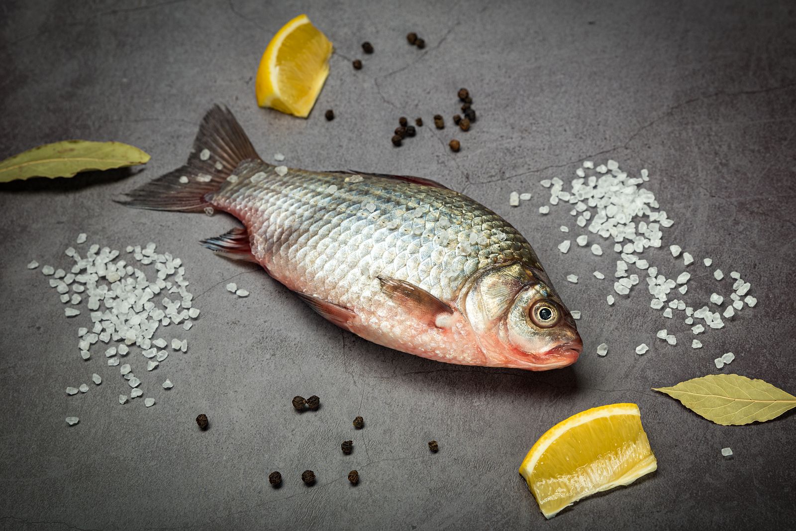 Fresh Fish Package view 1