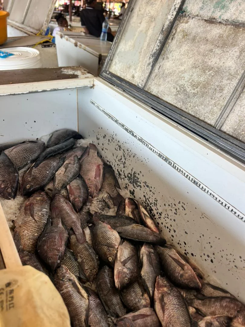 Weekend Fish Feast view 2
